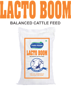 Lacto Boom - Bag With Logo